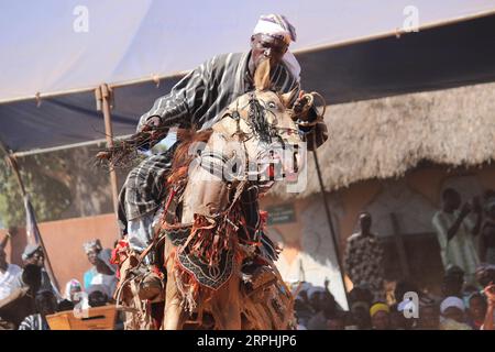 191110 -- NIKKI BENIN, 10 novembre 2019 Xinhua -- Un homme donne un spectacle équestre au festival Gaani à Nikki, Bénin, le 9 novembre 2019. Le festival de deux jours propose des danses tribales traditionnelles et des spectacles équestres. C’est la fête la plus importante du peuple Bariba du Bénin et elle est conçue pour célébrer la victoire et la joie. Photo de Seraphin Zounyekpe/Xinhua BENIN-NIKKI-GAANI FESTIVAL PUBLICATIONxNOTxINxCHN Banque D'Images