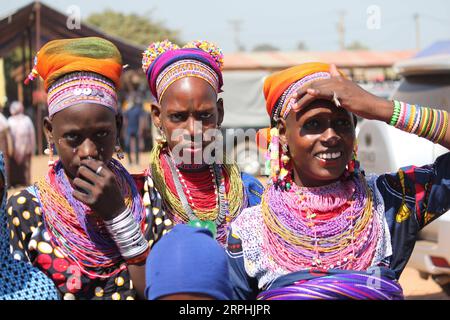 191110 -- NIKKI BÉNIN, 10 novembre 2019 Xinhua -- des femmes locales en costumes traditionnels sont vues lors du festival Gaani à Nikki, Bénin, le 9 novembre 2019. Le festival de deux jours propose des danses tribales traditionnelles et des spectacles équestres. C’est la fête la plus importante du peuple Bariba du Bénin et elle est conçue pour célébrer la victoire et la joie. Photo de Seraphin Zounyekpe/Xinhua BENIN-NIKKI-GAANI FESTIVAL PUBLICATIONxNOTxINxCHN Banque D'Images