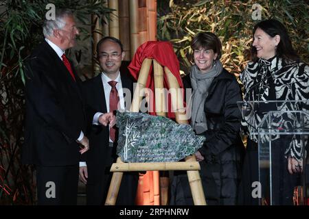 191114 -- BRUGELETTE, le 14 novembre 2019 -- l'ambassadeur chinois en Belgique CAO Zhongming 2nd L dévoile les noms officiels des jumeaux pandas géants Bao Di et Bao Mei au zoo Pairi Daiza de Brugelette, Belgique, le 14 novembre 2019. Les jumeaux panda géants qui ont été accouchés en août par le panda géant Hao Hao, ont reçu des noms officiels lors de leur célébration de 100 jours jeudi. Le petit mâle a été nommé Bao Di et le petit femelle a été nommé Bao Mei. Hao Hao a été prêté par le gouvernement chinois à la Belgique en 2014. La paire de petits pandas géants étaient les deuxième et troisième petits nés au zoo Pairi Daiza, Banque D'Images