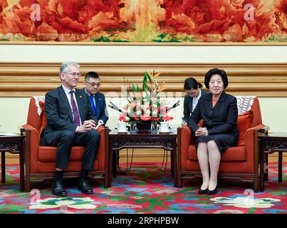 191115 -- BEIJING, le 15 novembre 2019 -- le vice-premier ministre chinois Sun Chunlan rencontre Frans van Houten, PDG de Royal Philips, à Beijing, capitale de la Chine, le 15 novembre 2019. CHINA-BEIJING-SUN CHUNLAN-PHILIPS-CEO-MEETING CN GAOXJIE PUBLICATIONXNOTXINXCHN Banque D'Images