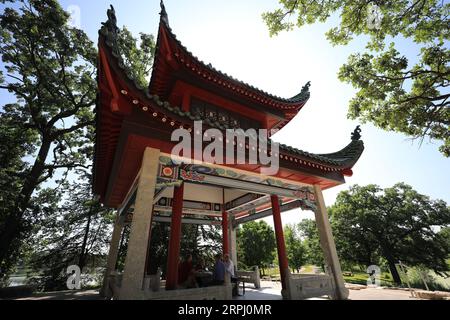 191121 -- SAINT PAUL É.-U., 21 novembre 2019 -- la photo prise le 6 août 2019 montre Linda Mealey-Lohmann, présidente de la Minnesota China Friendship Garden Society, et les membres du conseil discutant des plans futurs du projet China gardenproject INST. Paul, États-Unis. Situé à Phalen Park à St. Paul, capitale de l'État américain du Minnesota, le jardin de Chine de 1,2 acres, ou Liu Ming Yuan, est devenu un symbole de l'amitié de longue date du Minnesota avec la Chine et une reconnaissance de la relation ville-sœur commencée en 1988 entre St. Paul et Changsha, une ville du centre de la Chine. POUR ALLER AVEC la fonctionnalité : U.S. Woman s 40-y Banque D'Images