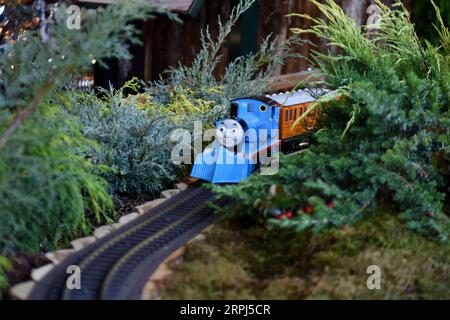 191127 -- NEW YORK, le 27 novembre 2019 -- train miniature Thomas le Tank Engine est photographié au Holiday train Show au New York Botanical Garden à New York, aux États-Unis, le 26 novembre 2019. Le New York Botanical Garden entre dans la saison des fêtes avec son spectacle annuel de train de vacances. Maintenant dans sa 28e édition, l'événement annuel transporte les visiteurs dans une métropole miniature alors que les trains miniatures parcourent une exposition enchanteresse de plus de 175 monuments à New York, chacun recréé avec de l'écorce, des gousses de lotus, des glands, des bâtons de cannelle et d'autres matériaux naturels. Le spectacle de cette année dure du 23 novembre 20 Banque D'Images