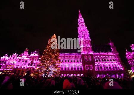 Actualités Bilder des Tages 191130 -- BRUXELLES, le 30 novembre 2019 -- les gens apprécient le spectacle son et lumière à la Grand place lors des merveilles d'hiver à Bruxelles, Belgique, le 29 novembre 2019. Avec une série d’activités telles que le spectacle son et lumière, le marché de Noël, etc., les Winter Wonders 2019 à Bruxelles ont débuté le 29 novembre 2019 et dureront jusqu’au 5 janvier 2020. BELGIQUE-BRUXELLES-MERVEILLES HIVERNALES ZhengxHuansong PUBLICATIONxNOTxINxCHN Banque D'Images