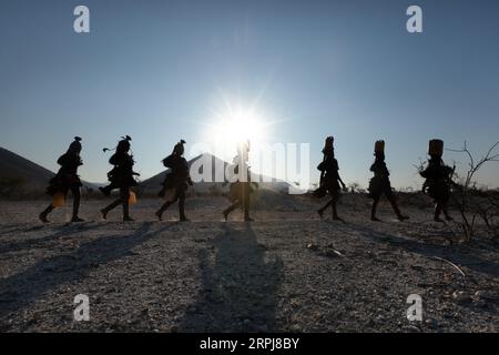 Les femmes Himba marchent toutes en une seule ligne tout en revenant de la collecte d'eau. L'eau est effrayante dans le nord de la Namibie, donc toutes les rations doivent être ramassées Banque D'Images