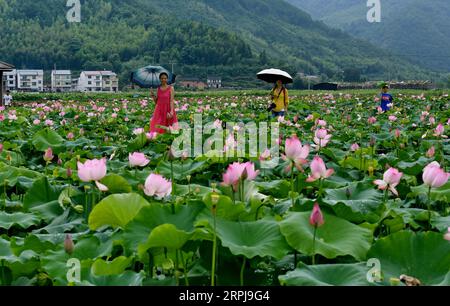 191202 -- WUYISHAN, 2 décembre 2019 -- des touristes voient des fleurs de lotus dans la ville de Wufu, dans la ville de Wuyishan, dans la province du Fujian du sud-est de la Chine, le 12 juillet 2019. La montagne Wuyi a été acceptée comme site de protection du patrimoine culturel et naturel par l'UNESCO en 1999. CHINE-FUJIAN-WUYI MONTAGNE-PAYSAGE CN ZHANGXGUOJUN PUBLICATIONXNOTXINXCHN Banque D'Images