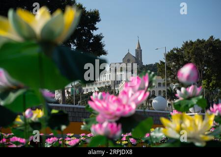 191206 -- MACAO, 6 décembre 2019 Xinhua -- une photo prise le 4 décembre 2019 montre une vue de la Colina da Penha dans le sud de la Chine à Macao. Xinhua/Cheong Kam Ka CHINA-MACAO-SCENERY CN PUBLICATIONxNOTxINxCHN Banque D'Images