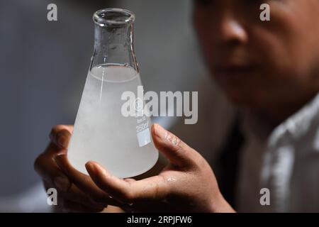 191209 -- JINGXIAN, 9 décembre 2019 -- CAO Jianqin vérifie la qualité de la pâte à papier pour fabriquer du papier Xuan à l'usine de papier Zijinlou Xuan dans le comté de Jingxian, ville de Xuancheng dans la province d'Anhui de l'est de la Chine, 22 octobre 2019. Le papier Xuan, papier traditionnel chinois fabriqué dans le comté de Jingxian de la ville de Xuancheng, a une histoire de plus de 1 000 ans. En passant par plus de 100 procédures, la fabrication du papier coûte au moins un an pour transformer le matériau en produit final. Connu pour son artisanat distingué, sa qualité fine et sa longue durée de conservation, le papier est aimé par les artistes et calligraphes chinois et est cal Banque D'Images