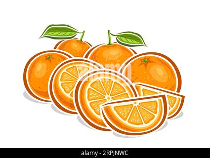 Logo vectoriel pour oranges, affiche horizontale décorative avec dessin animé composition de nature morte orange fruitée, impression de fruits avec cir entier et haché Illustration de Vecteur