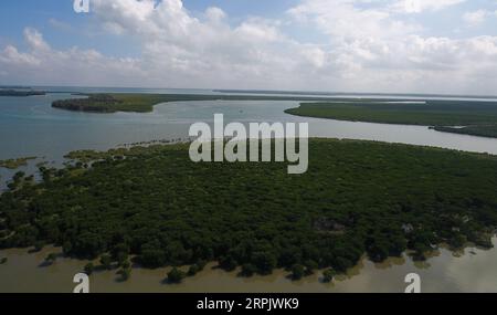 191221 -- HAIKOU, 21 décembre 2019 -- une photo aérienne prise le 18 décembre 2019 montre une vue de la forêt de mangroves dans la réserve naturelle nationale de Dongzhaigang, dans la province de Hainan du sud de la Chine. Hainan, riche en ressources de mangrove, compte aujourd'hui environ 5 727 hectares de forêts de mangrove, dont la plupart sont réparties dans une variété de zones protégées - réserves naturelles et parcs de zones humides. Chen Zhengping, Feng Erhui, Luo Lixiang et Lyu Shiyang sont tous des mangroves de base qui protègent et gèrent le personnel dans différentes réserves de mangroves de la province de Hainan, assumant des responsabilités telles que les patrouilles, la surveillance et la k Banque D'Images