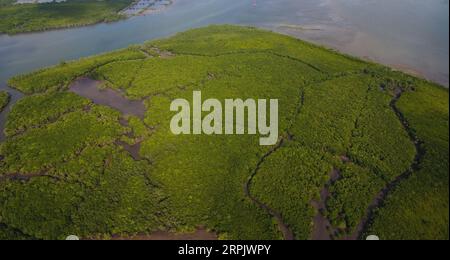 191221 -- HAIKOU, 21 décembre 2019 -- une photo aérienne prise le 17 décembre 2019 montre une vue de la réserve naturelle provinciale de Qinglangang dans la province de Hainan du sud de la Chine. Hainan, riche en ressources de mangrove, compte aujourd'hui environ 5 727 hectares de forêts de mangrove, dont la plupart sont réparties dans une variété de zones protégées - réserves naturelles et parcs de zones humides. Chen Zhengping, Feng Erhui, Luo Lixiang et Lyu Shiyang sont tous des mangroves de base qui protègent et gèrent le personnel dans différentes réserves de mangroves de la province de Hainan, assumant des responsabilités telles que les patrouilles, la surveillance et la connaissance populariz Banque D'Images