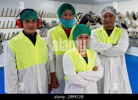 Demandeur d'asile birman employé comme travailleurs de transformation à l'usine de transformation Luv a Duck à Nhill, Victoria Banque D'Images