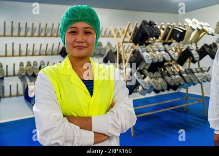 Demandeur d'asile birman employé comme travailleurs de transformation à l'usine de transformation Luv a Duck à Nhill, Victoria Banque D'Images