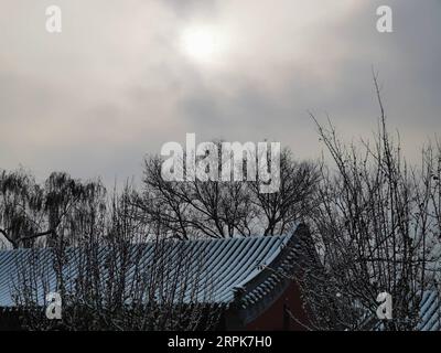 200101 -- BEIJING, 1 janvier 2020 -- une photo mobile montre des paysages dans le parc Beihai après la neige à Beijing, capitale de la Chine, le 30 novembre 2019. BeijingCandidCHINA-BEIJING-HIVER-BEIHAI PARK CN ZhangxChuanqi PUBLICATIONxNOTxINxCHN Banque D'Images