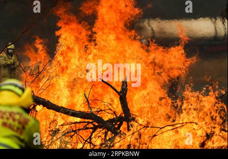 200106 -- BRISBANE, 6 janvier 2020 -- la photo prise le 11 novembre 2019 montre le feu de brousse à Taree en Nouvelle-Galles du Sud, en Australie. Le gouvernement australien a lancé la National Bushfire Recovery Agency qui serait financée avec un premier de deux milliards de dollars australiens 1,38 milliards de dollars américains lundi. AUSTRALIA-NATIONAL BUSH FIRE RECOVERY AGENCY BaixXuefei PUBLICATIONxNOTxINxCHN Banque D'Images