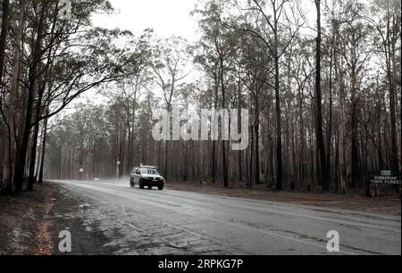 200110 -- SYDNEY, le 10 janvier 2020 -- la photo prise le 9 janvier 2020 montre la brousse sous la pluie à Taree en Nouvelle-Galles du Sud, en Australie. La pluie a aidé à atténuer la sécheresse qui a frappé cette région. AUSTRALIE-FEU DE BROUSSE-PLUIE BaixXuefei PUBLICATIONxNOTxINxCHN Banque D'Images
