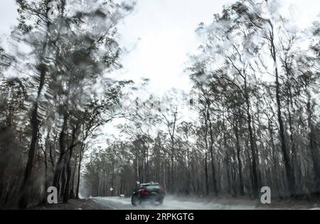 200111 -- BEIJING, le 11 janvier 2020 -- Un véhicule roule sous la pluie à Taree, en Nouvelle-Galles du Sud, Australie, le 9 janvier 2020. Les précipitations ont contribué à atténuer la sécheresse dans la région. PHOTOS XINHUA DU JOUR BaixXuefei PUBLICATIONxNOTxINxCHN Banque D'Images