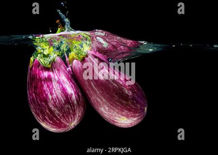 Gros plan de deux aubergines zébrées tombées sous l'eau avec des éclaboussures sur le noir. Photographie culinaire. Banque D'Images