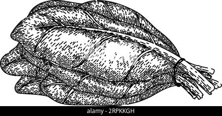 vecteur dessiné à la main d'esquisse de blette verte Illustration de Vecteur