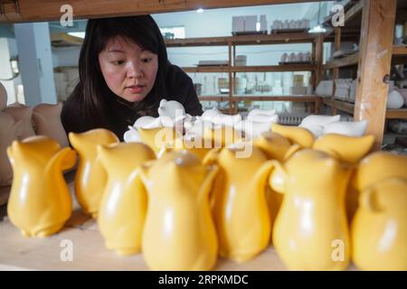 200114 -- JINGDEZHEN, le 14 janvier 2020 -- la créatrice de porcelaine Wu Anran vérifie les produits en porcelaine conçus par elle qui mettent en vedette l'année chinoise du rat à Jingdezhen, dans la province de Jiangxi de l'est de la Chine, le 8 janvier 2020. Jingdezhen, également connue sous le nom de capitale de la porcelaine , est célèbre pour son savoir-faire en céramique élaboré qui nécessite un processus de production extrêmement compliqué. Dans le passé, de nombreux designers de porcelaine jeunes, compétents et ambitieux pouvaient créer de bons designs, mais avaient du mal à compléter indépendamment la production et les ventes. D'autre part, les entreprises traditionnelles qui pourraient faire Banque D'Images