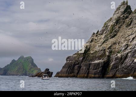 Sceilg Bheag , Skellig Rock Small, Irlande, Royaume-Uni Banque D'Images