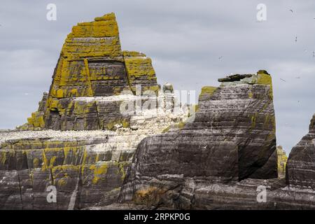 Sceilg Bheag , Skellig Rock Small, Irlande, Royaume-Uni Banque D'Images