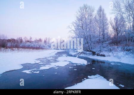 200117 -- HARBIN, 17 janvier 2020 -- une photo prise le 14 janvier 2020 montre des paysages hivernaux dans le district de Huzhong à Dahinggan, dans la province du Heilongjiang du nord-est de la Chine. CHINE-HEILONGJIANG-PAYSAGE HIVERNAL CN ZhangxTao PUBLICATIONxNOTxINxCHN Banque D'Images