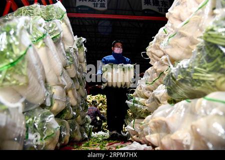 200201 -- SHOUGUANG, le 1 février 2020 -- Un agriculteur livre des légumes dans un parc logistique de produits agricoles à Shouguang, dans la province du Shandong de l est de la Chine, le 1 février 2020. La ville de Shouguang, l une des principales bases de production de légumes en Chine, a activé des plans d urgence pour promouvoir la transaction de légumes frais après l épidémie du nouveau coronavirus. En ce moment, il fournit à Wuhan 600 tonnes de légumes par jour. Dans le même temps, il peut également répondre aux demandes dans la province du Shandong ainsi que Beijing et Shanghai. CHINE-SHANDONG-SHOUGUANG-APPROVISIONNEMENT DE LÉGUMES CN GUOXXULEI PUBLICATIONXNOTXINX Banque D'Images