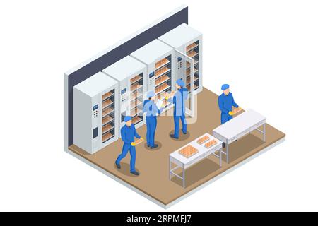Poulet rôti isométrique dans une ferme avicole, élevage de poulets dans une ferme avicole. Agriculteurs contrôlant dans l'incubateur. Illustration de Vecteur