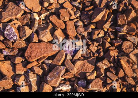 Améthystes crues sur les rives de la mer Blanche. Péninsule de Kola. Arrière-plan naturel. Banque D'Images