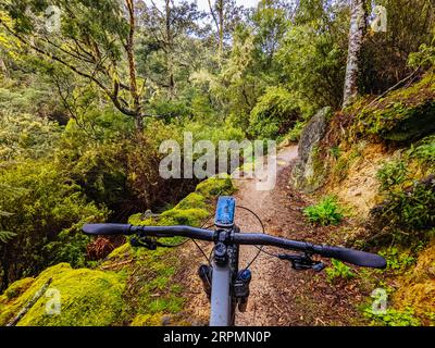 DERBY, AUSTRALIE, 24 SEPTEMBRE 2022 : Axehead Trail sur le réseau populaire et Blue Derby Mountain bike Trail au printemps à Derby, Tasmanie Banque D'Images