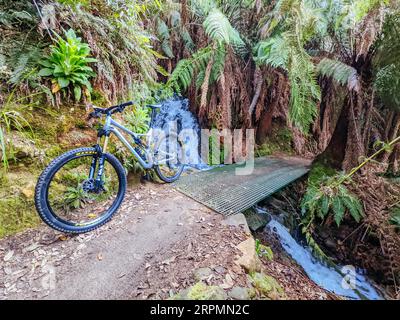 DERBY, AUSTRALIE, 24 SEPTEMBRE 2022 : Axehead Trail sur le réseau populaire et Blue Derby Mountain bike Trail au printemps à Derby, Tasmanie Banque D'Images