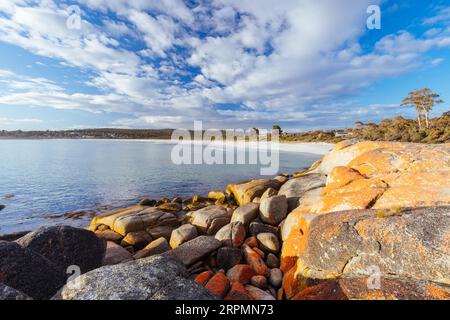 L'emblématique lichen couvert de rochers et de turqoise eau de l'océan dans la baie des feux à travers le coin confortable près de la baie de Binalong, Tasmanie, Australie Banque D'Images