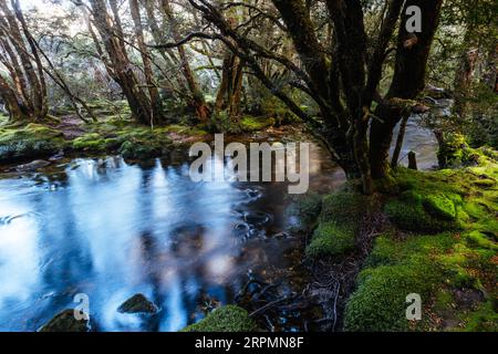 La célèbre promenade enchantée et le paysage dans un après-midi de printemps frais à Cradle Mountain, Tasmanie, Australie Banque D'Images