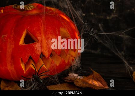 Décorations d'Halloween, citrouille, araignées, lanterne de Jack de citrouille Banque D'Images