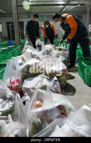 200217 -- URUMQI, le 17 février 2020 -- les collecteurs express d'une succursale de China Post trient les légumes à livrer à Urumqi, dans la région autonome ouygur du Xinjiang du nord-ouest de la Chine, le 16 février 2020. Depuis la nouvelle épidémie de coronavirus, la branche Urumqi de China Post a élargi son champ d’application. Plus de 80 voitures de livraison express et 340 collecteurs express ont été déployés pour fournir aux résidents locaux des services de livraison pendant la lutte contre la nouvelle épidémie de coronavirus. CHINE-XINJIANG-URUMQI-CHINE POST-NOUVEAU CORONAVIRUS CN DINGXLEI PUBLICATIONXNOTXINXCHN Banque D'Images