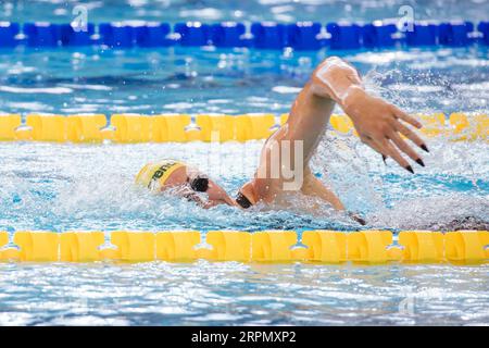 MELBOURNE, AUSTRALIE, DÉCEMBRE 13 : Lani PALLISTER (AUS) concourra dans les manches de 400 m nage libre féminin le premier jour du World Short course 2022 de la FINA Banque D'Images