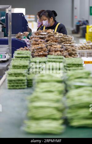 200219 -- CHONGQING, le 19 février 2020 -- des employés emballent des légumes dans une entreprise de transformation de légumes dans le district de Tongnan à Chongqing, dans le sud-ouest de la Chine, le 18 février 2020. Le district de Tongnan à Chongqing a pris d'importantes mesures pour assurer l'approvisionnement en légumes en ligne et hors ligne dans le cadre des mesures prises pour prévenir et contrôler la nouvelle épidémie de coronavirus. Photo de /Xinhua CHINA-CHONGQING-VEGETABLE-SUPPLY CN HuangxWei PUBLICATIONxNOTxINxCHN Banque D'Images