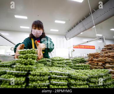 200219 -- CHONGQING, le 19 février 2020 -- un employé organise des paquets de légumes dans une entreprise de transformation de légumes dans le district de Tongnan à Chongqing, dans le sud-ouest de la Chine, le 18 février 2020. Le district de Tongnan à Chongqing a pris d'importantes mesures pour assurer l'approvisionnement en légumes en ligne et hors ligne dans le cadre des mesures prises pour prévenir et contrôler la nouvelle épidémie de coronavirus. Photo de /Xinhua CHINA-CHONGQING-VEGETABLE-SUPPLY CN HuangxWei PUBLICATIONxNOTxINxCHN Banque D'Images