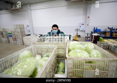 200219 -- CHONGQING, le 19 février 2020 -- un employé organise des paquets de légumes dans une entreprise de transformation de légumes dans le district de Tongnan à Chongqing, dans le sud-ouest de la Chine, le 18 février 2020. Le district de Tongnan à Chongqing a pris d'importantes mesures pour assurer l'approvisionnement en légumes en ligne et hors ligne dans le cadre des mesures prises pour prévenir et contrôler la nouvelle épidémie de coronavirus. Photo de /Xinhua CHINA-CHONGQING-VEGETABLE-SUPPLY CN HuangxWei PUBLICATIONxNOTxINxCHN Banque D'Images