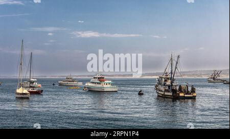 Bateaux de pêche navires coupeurs dans le port de Monterey, Californie USA Banque D'Images