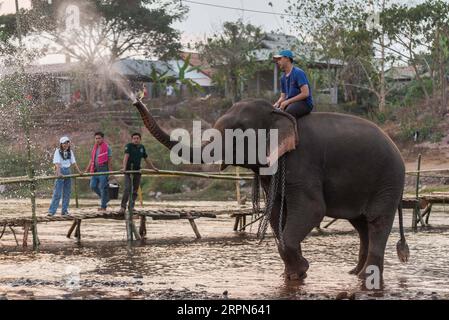 200223 -- XAYABOURY, 23 février 2020 Xinhua -- un homme monte sur un éléphant pendant la fête de l'éléphant dans un affluent du Mékong, dans la province de Xayaboury, au nord du Laos, le 22 février 2020. Le Festival annuel de l'éléphant dure du 22 au 28 février cette année. Photo Kaikeo Saiyasane/Xinhua LAOS-XAYABOURY-ELEPHANT-FESTIVAL PUBLICATIONxNOTxINxCHN Banque D'Images