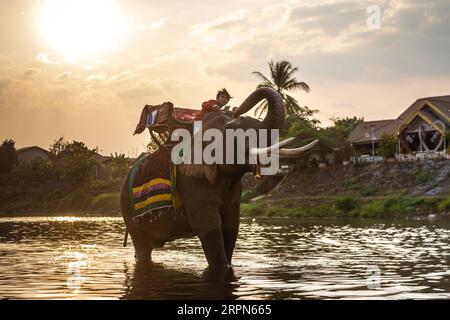 200223 -- XAYABOURY, 23 février 2020 Xinhua -- un homme monte sur un éléphant pendant la fête de l'éléphant dans un affluent du Mékong, dans la province de Xayaboury, au nord du Laos, le 22 février 2020. Le Festival annuel de l'éléphant dure du 22 au 28 février cette année. Photo Kaikeo Saiyasane/Xinhua LAOS-XAYABOURY-ELEPHANT-FESTIVAL PUBLICATIONxNOTxINxCHN Banque D'Images