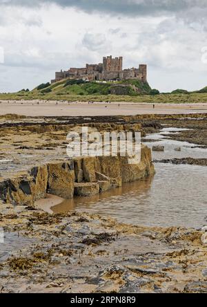 Vue au sud du château de Bamburgh, un célèbre monument du Northumberland et une attraction touristique vue depuis la plage à marée basse en août 2023. Banque D'Images