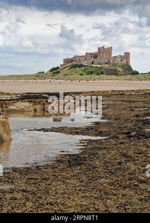 Vue au sud du château de Bamburgh, un célèbre monument du Northumberland et une attraction touristique vue depuis la plage à marée basse en août 2023. Banque D'Images