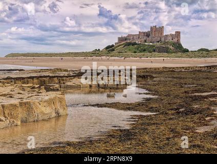 Vue au sud du château de Bamburgh, un célèbre monument du Northumberland et une attraction touristique vue depuis la plage à marée basse en août 2023. Banque D'Images