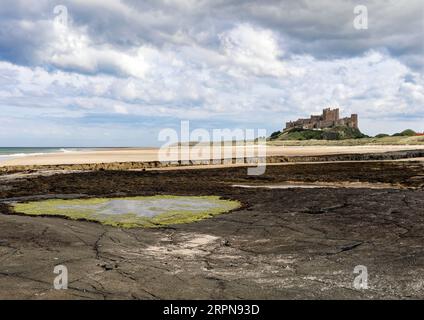 Vue au sud du château de Bamburgh, un célèbre monument du Northumberland et une attraction touristique vue depuis la plage à marée basse en août 2023. Banque D'Images