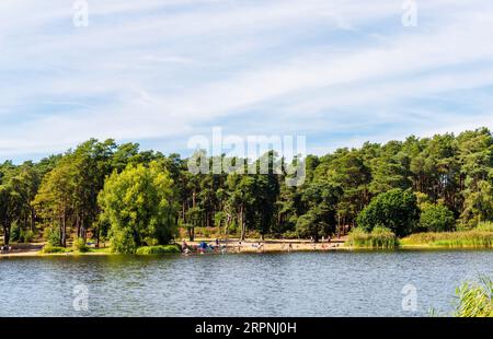 Familles appréciant la plage et le lac à Frensham Little Pond, Frensham, Waverley, Surrey, sud-est de l'Angleterre Banque D'Images