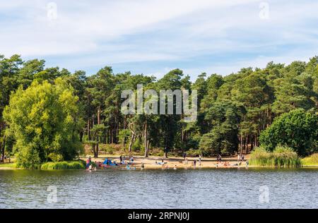 Familles appréciant la plage et le lac à Frensham Little Pond, Frensham, Waverley, Surrey, sud-est de l'Angleterre Banque D'Images