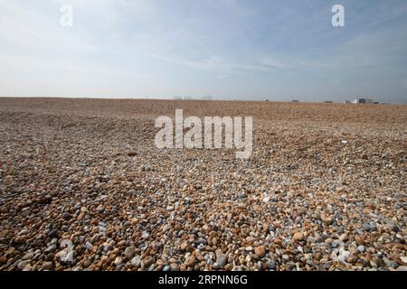 La plage de galets au bord de la mer sur la côte à Dungeness, Kent. Angleterre Royaume-Uni Banque D'Images