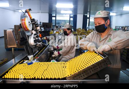 200303 -- CHONGQING, le 3 mars 2020 -- le personnel travaille à l'atelier d'emballage de Chongqing sino Bio-Pharmaceutical Co., Ltd. Dans la zone Hi-tech de Chongqing, au sud-ouest de la Chine, le 3 mars 2020. La zone Hi-tech de Chongqing a déployé des politiques pour aider les entreprises à reprendre leur production pendant la lutte contre le nouveau coronavirus. Un total de 1 598 entreprises impliquant 102 894 travailleurs dans la zone ont repris la production et l'exploitation à midi de mardi. CHINE-CHONGQING-HI-TECH ZONE-NOUVEAU CORONAVIRUS-REPRISE DE LA PRODUCTION CN WANGXQUANCHAO PUBLICATIONXNOTXINXCHN Banque D'Images